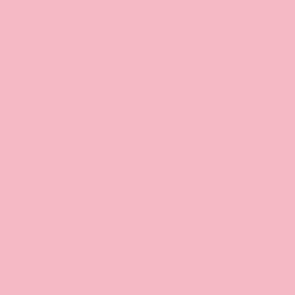 Montana Black – Miss Piggy Rose Matte - MC Fact