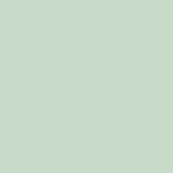 Montana Black – Olymp Mat Groen - MC Fact